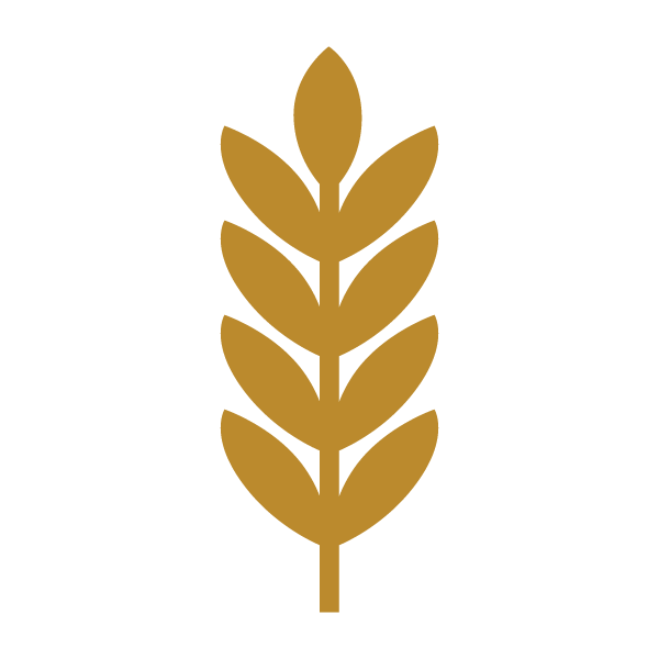 wheat